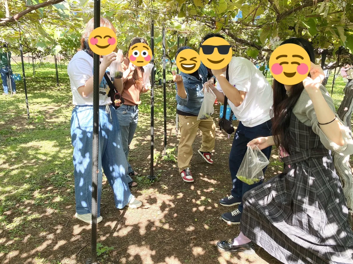 ぶどう棚の下で果物狩りをしている様子